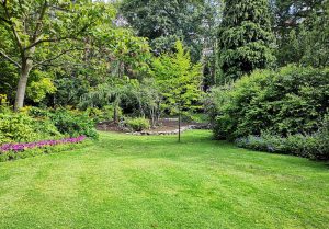 Optimiser l'expérience du jardin à Colombe-les-Vesoul